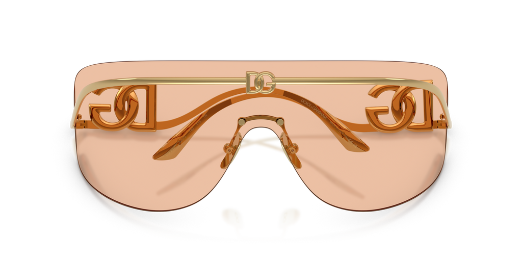 Dolce & Gabbana DG2320 02/73
