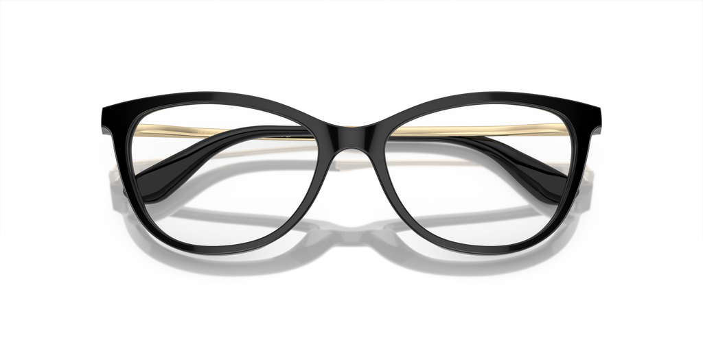 Dolce & Gabbana DG3258 501