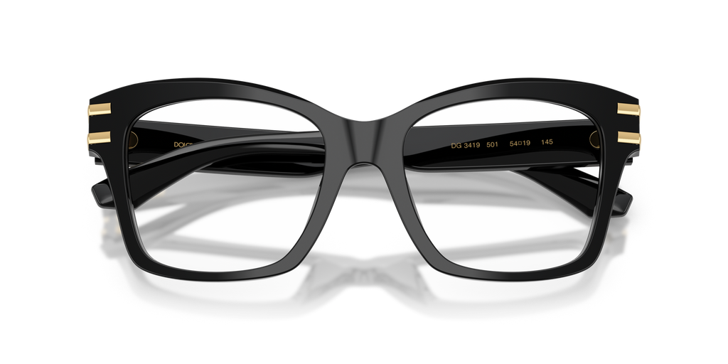 Dolce & Gabbana DG3419 501