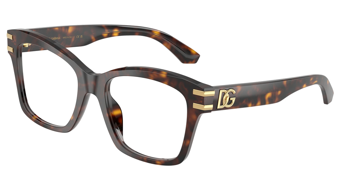 Dolce & Gabbana DG3419 502