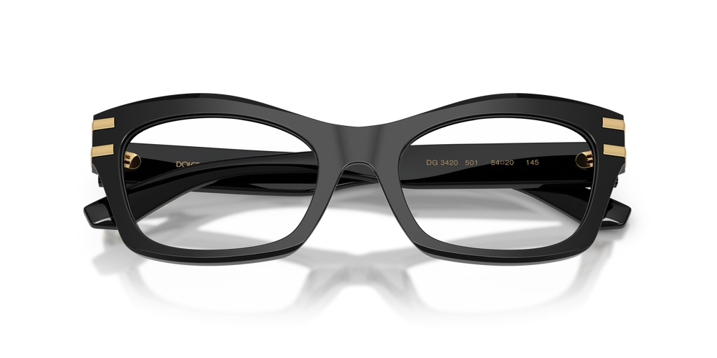 Dolce & Gabbana DG3420 501