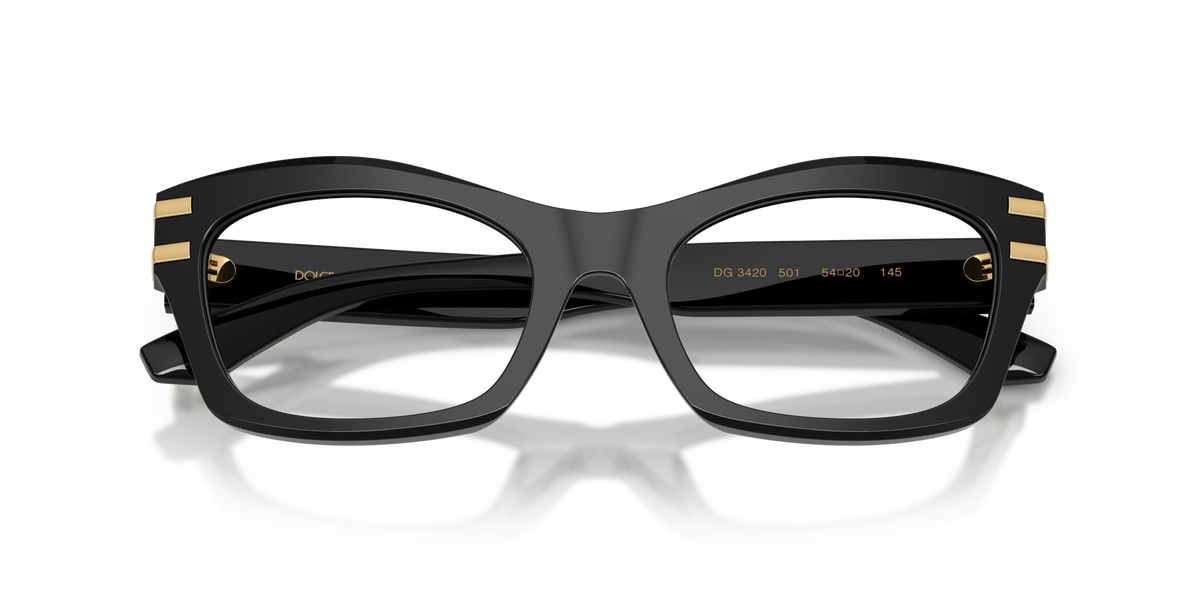Dolce & Gabbana DG3420 501