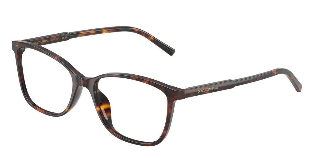 Dolce & Gabbana DG3424 502