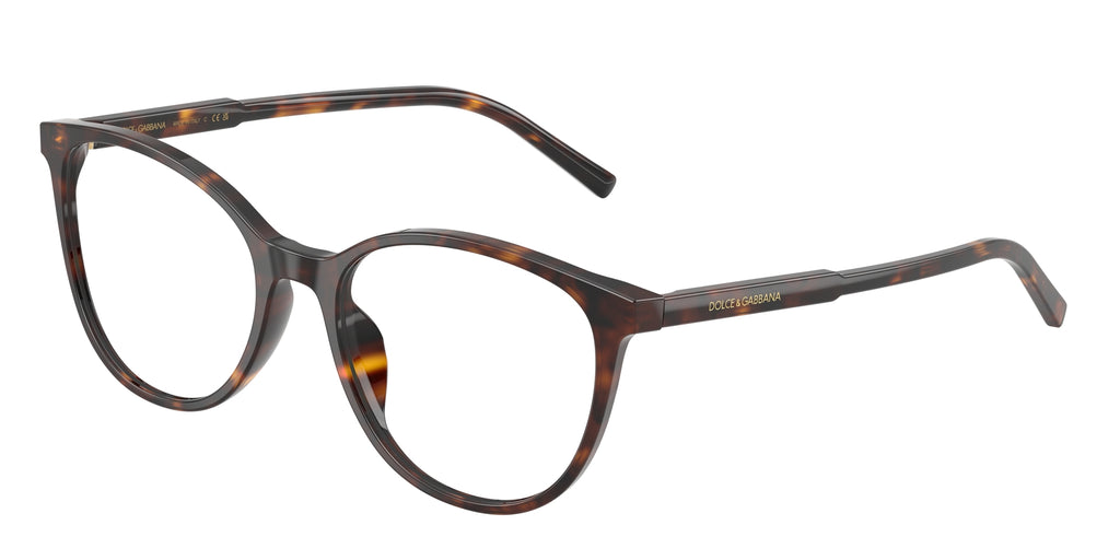 Dolce & Gabbana DG3425 502