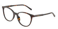 Dolce & Gabbana DG3425 502