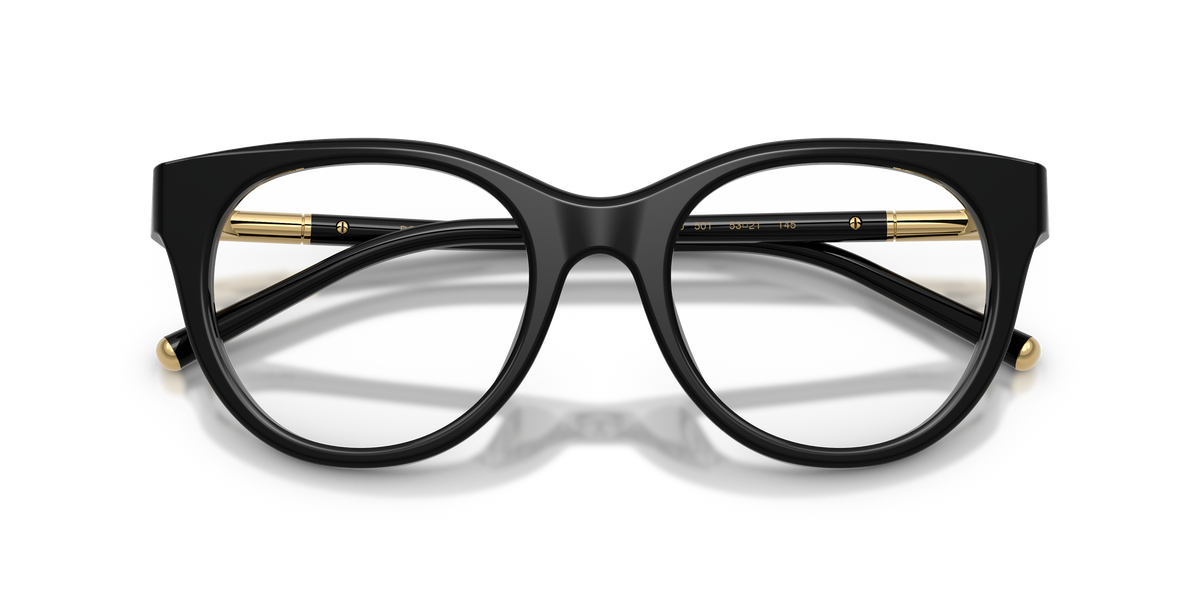 Dolce & Gabbana DG3433 501