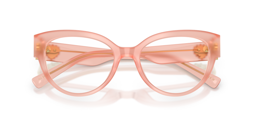 Dolce & Gabbana DG3440 3384