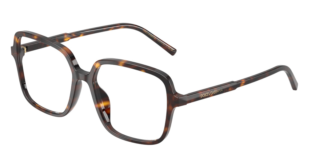 Dolce & Gabbana DG3442 502