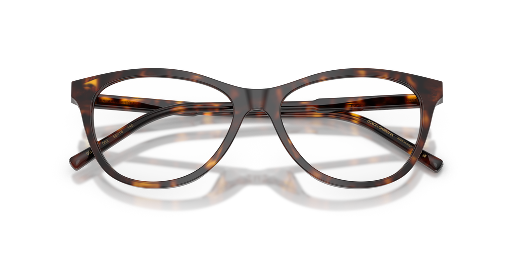 Dolce & Gabbana DG3443 502