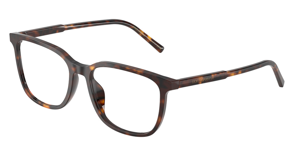 Dolce & Gabbana DG3445 502