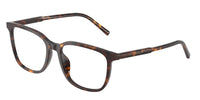 Dolce & Gabbana DG3445 502