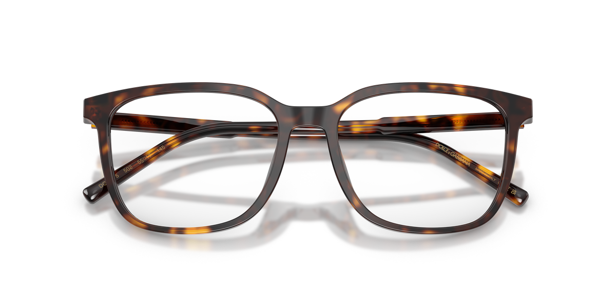 Dolce & Gabbana DG3445 502