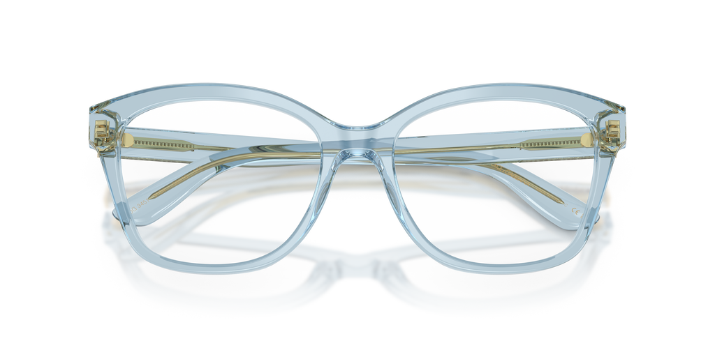 Dolce & Gabbana DG3451 3134
