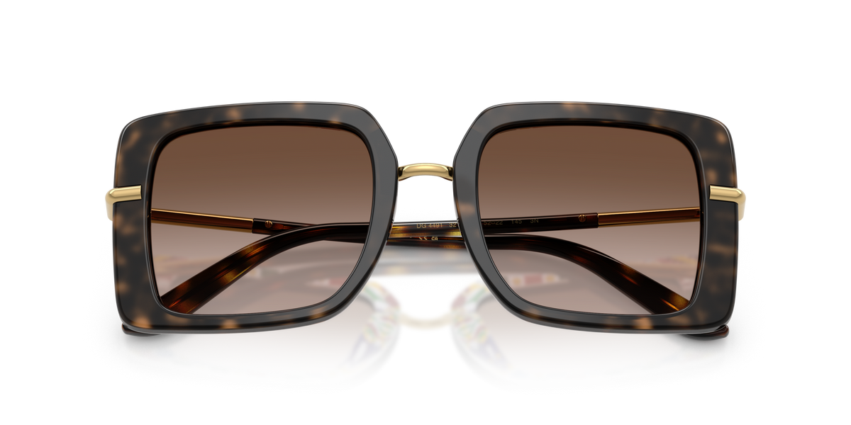 Dolce & Gabbana DG4491 321713