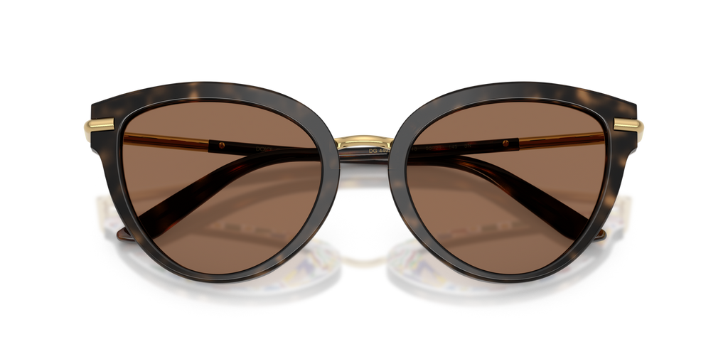 Dolce & Gabbana DG4492 321713