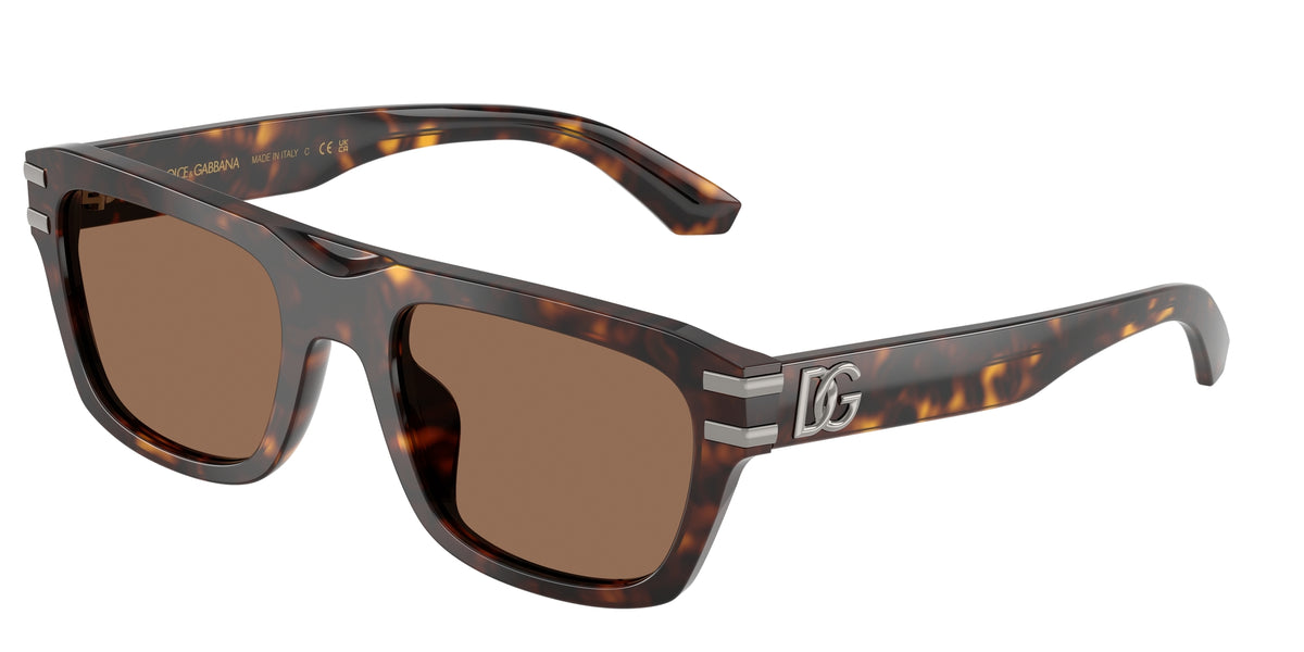 Dolce & Gabbana DG4496 502/73