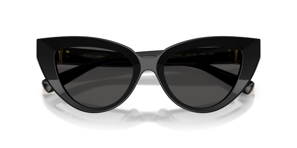 Dolce & Gabbana DG4497 501/87