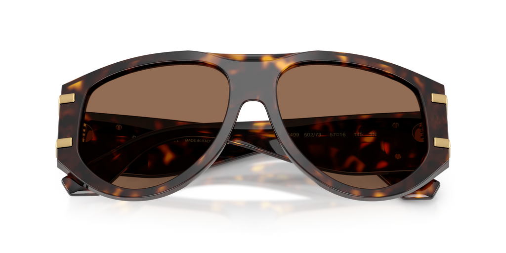 Dolce & Gabbana DG4499 502/73