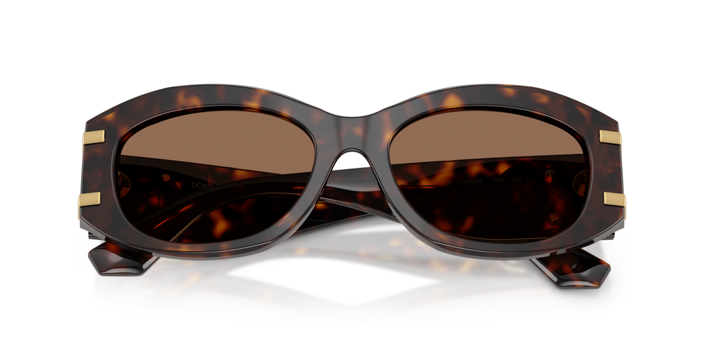 Dolce & Gabbana DG4502 502/73