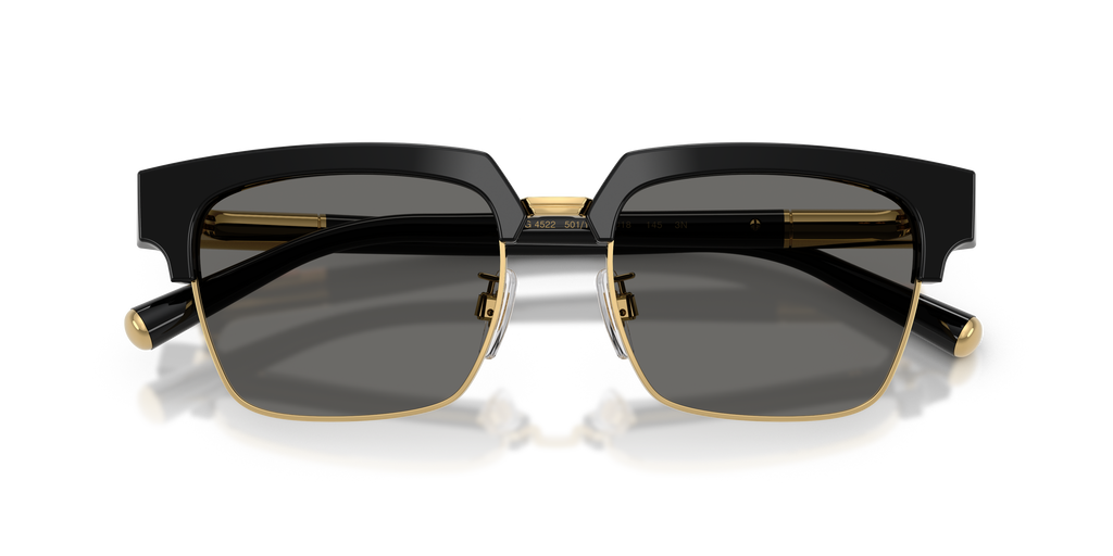 Dolce & Gabbana DG4522 501/1