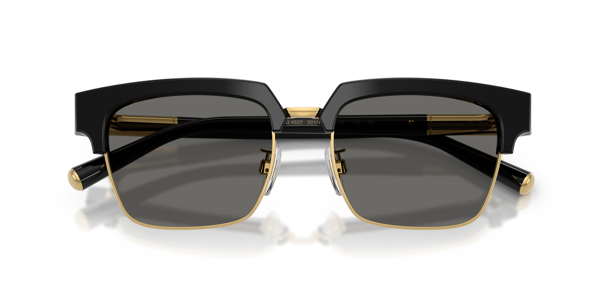 Dolce & Gabbana DG4522 501/1