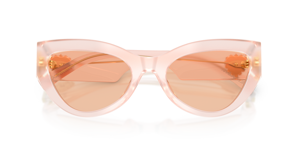 Dolce & Gabbana DG4536 304173
