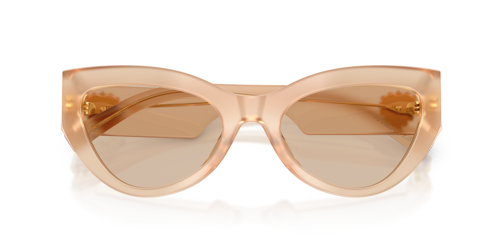 Dolce & Gabbana DG4536 308993