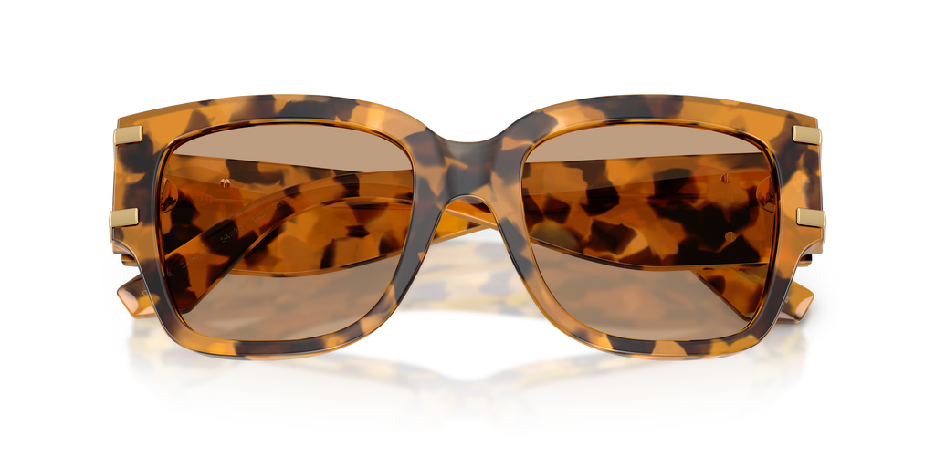 Dolce & Gabbana DG4563 349663