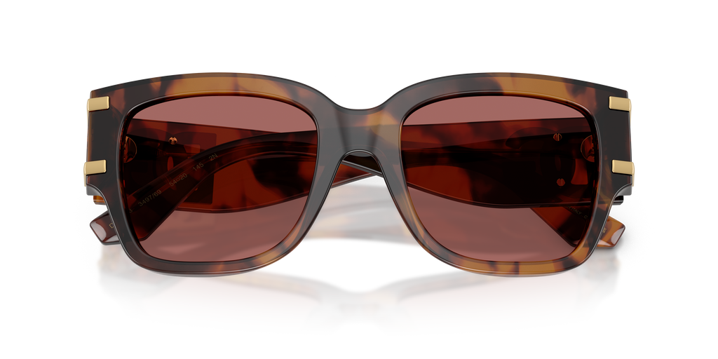 Dolce & Gabbana DG4563 349769