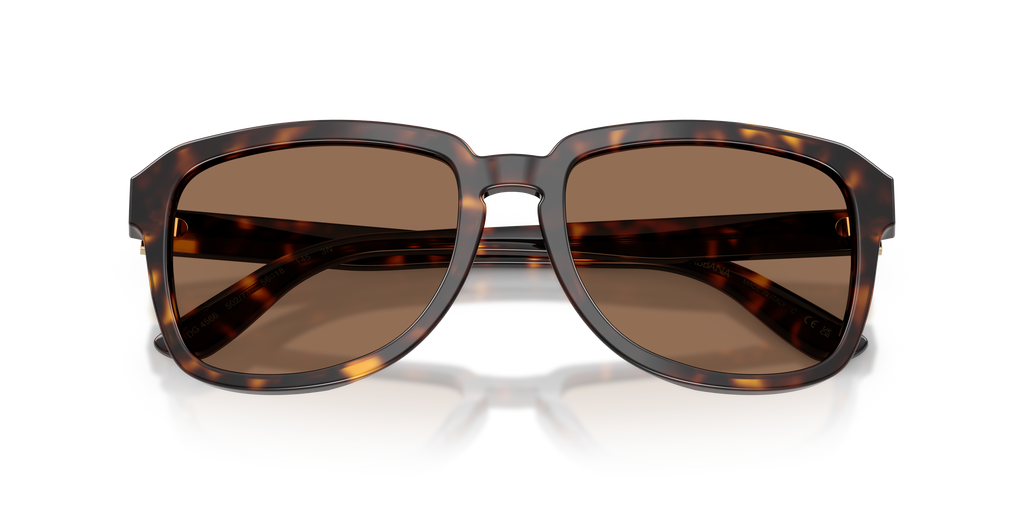 Dolce & Gabbana DG4566 502/73