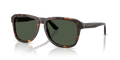 Dolce & Gabbana DG4566 502/9A