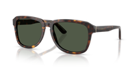 Dolce & Gabbana DG4566 502/9A