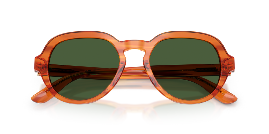 Dolce & Gabbana DG4567 348371