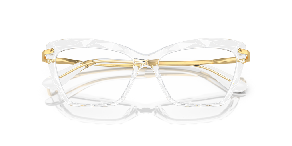 Dolce & Gabbana DG5025 3133