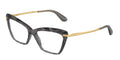 Dolce & Gabbana DG5025 504