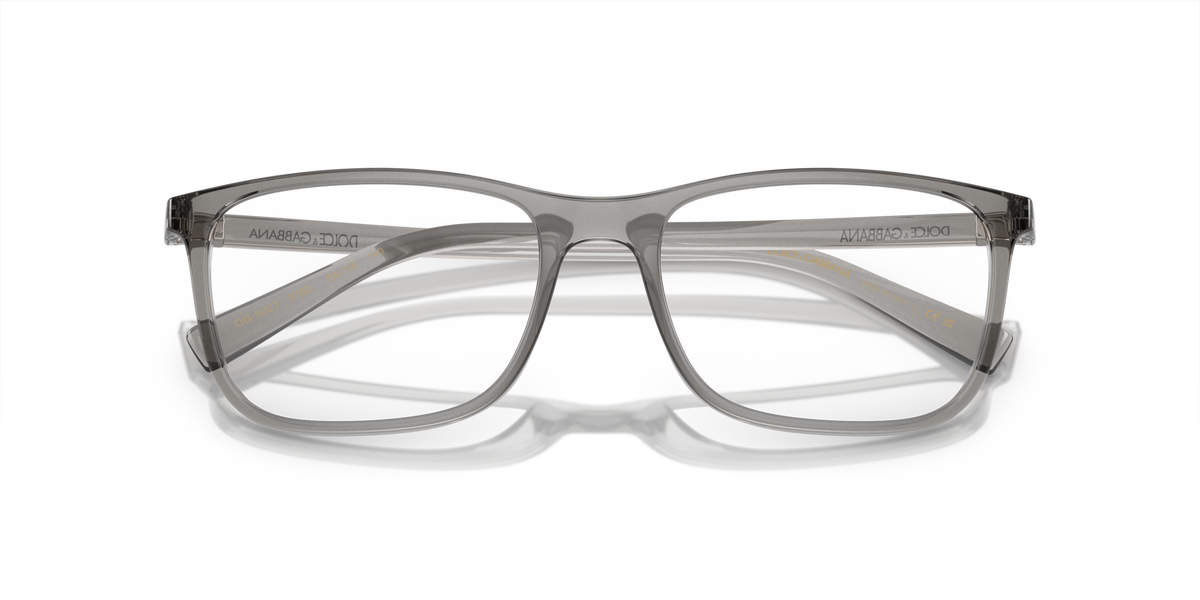 Dolce & Gabbana DG5027 3160