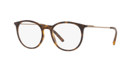 Dolce & Gabbana DG5031 1935