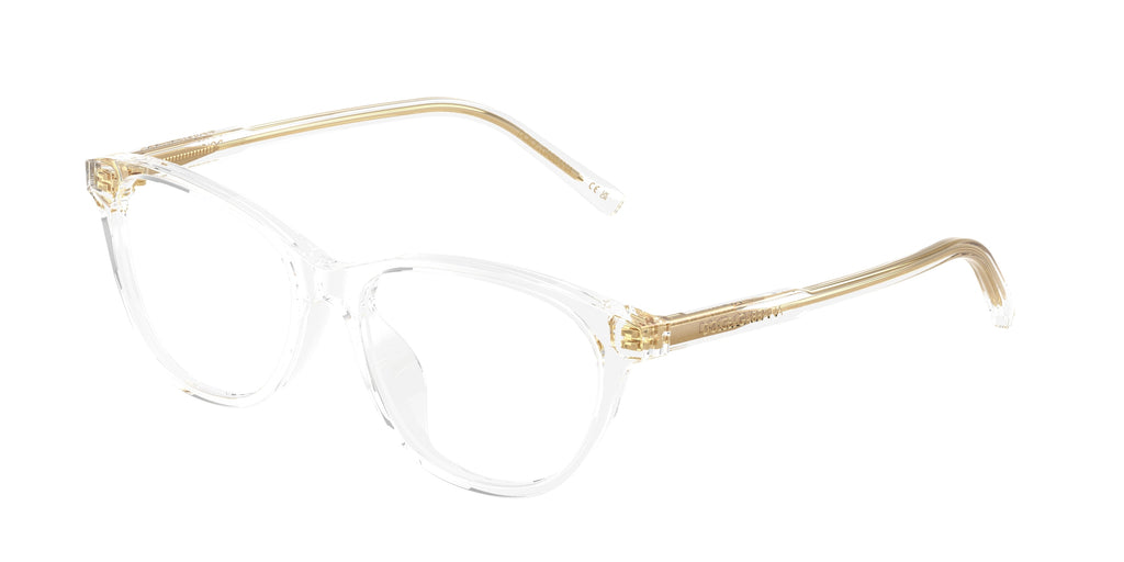 Dolce & Gabbana DX3002 3133