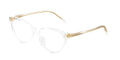 Dolce & Gabbana DX3002 3133