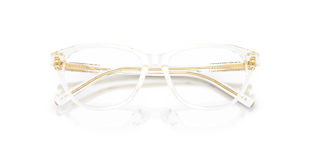 Dolce & Gabbana DX3002 3133