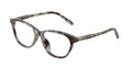 Dolce & Gabbana DX3002 3443