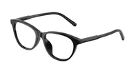 Dolce & Gabbana DX3002 501