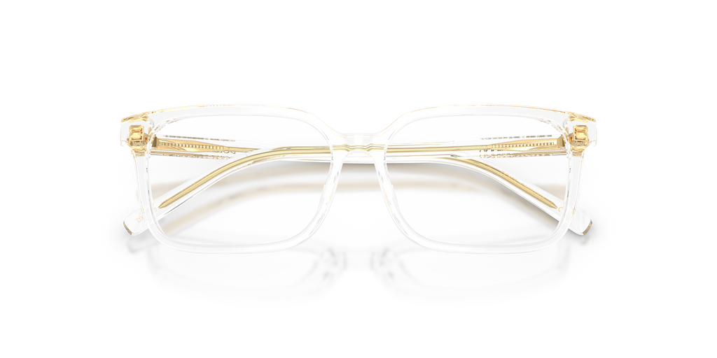 Dolce & Gabbana DX3003 3133