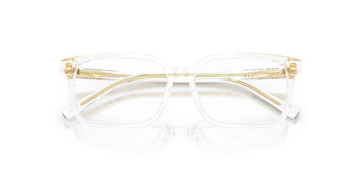 Dolce & Gabbana DX3003 3133