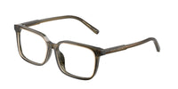 Dolce & Gabbana DX3003 3480