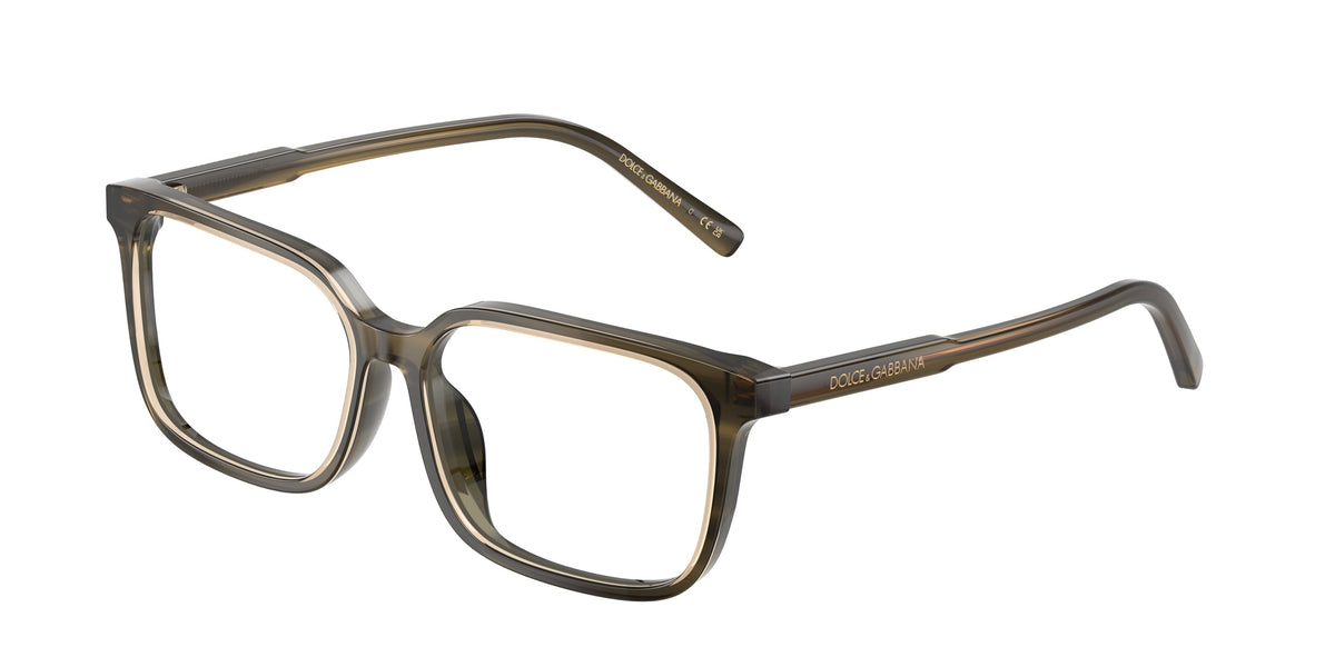 Dolce & Gabbana DX3003 3480