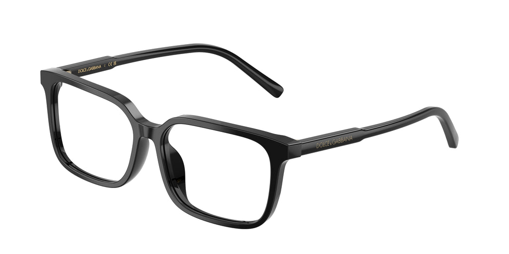 Dolce & Gabbana DX3003 501