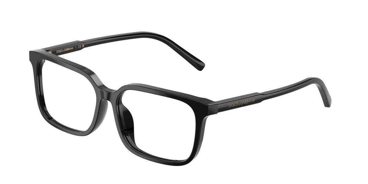 Dolce & Gabbana DX3003 501