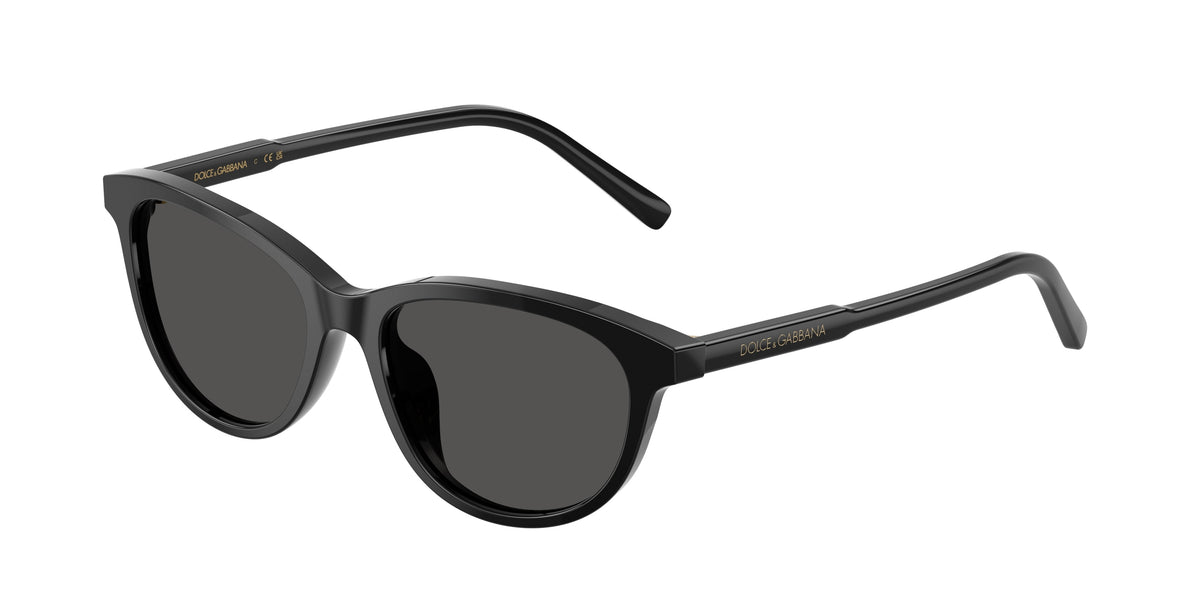 Dolce & Gabbana DX4010 501/87