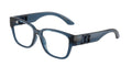 Dolce & Gabbana DX5006 3009